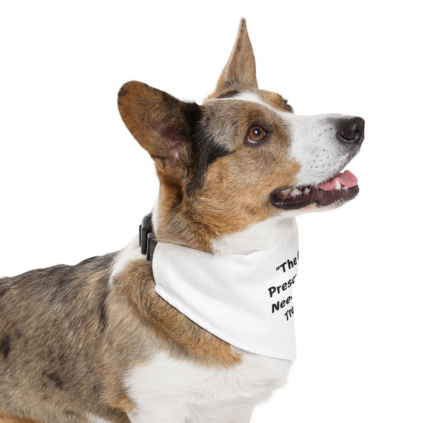 Treats Pet Bandana Collar