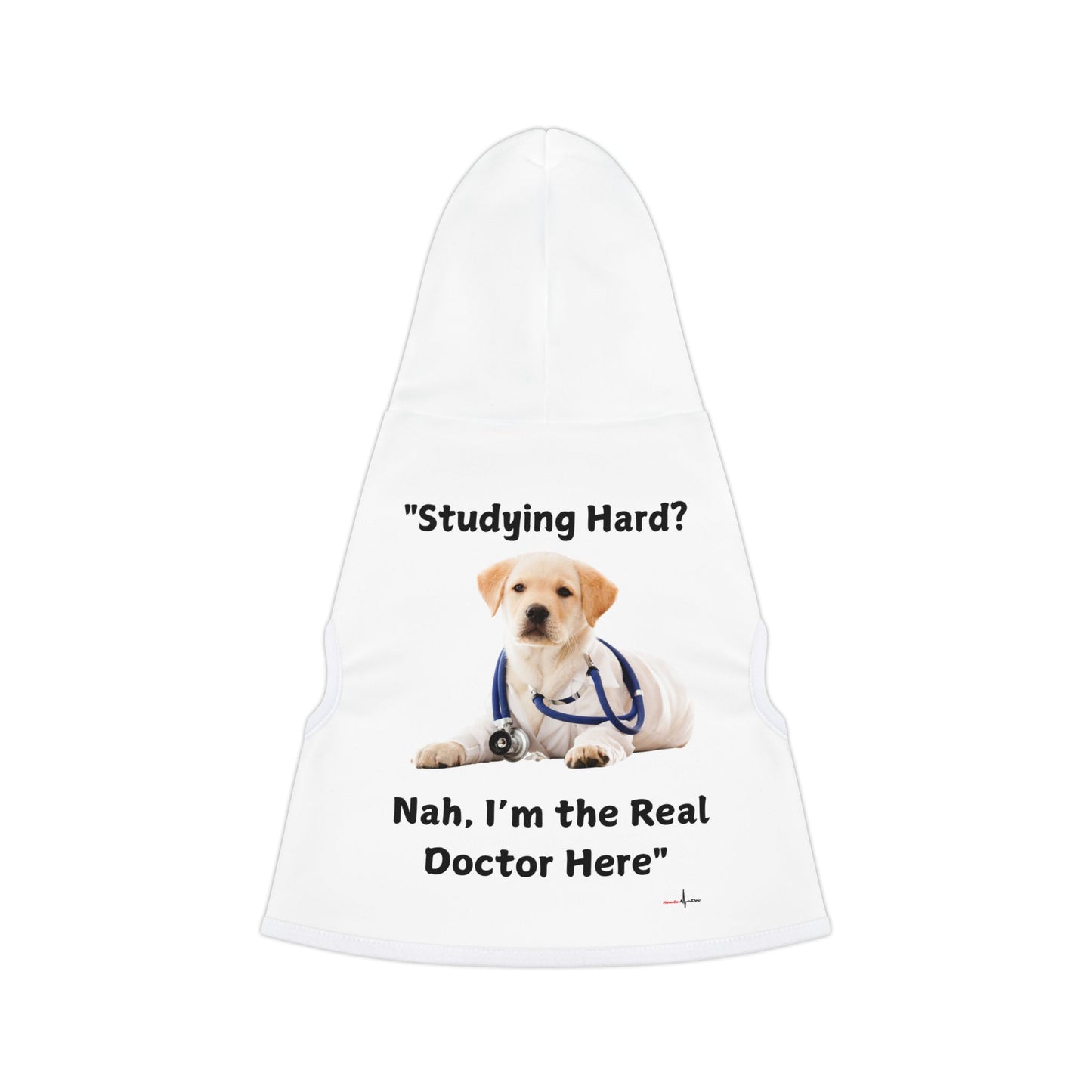 Study Hard Pet Hoodie