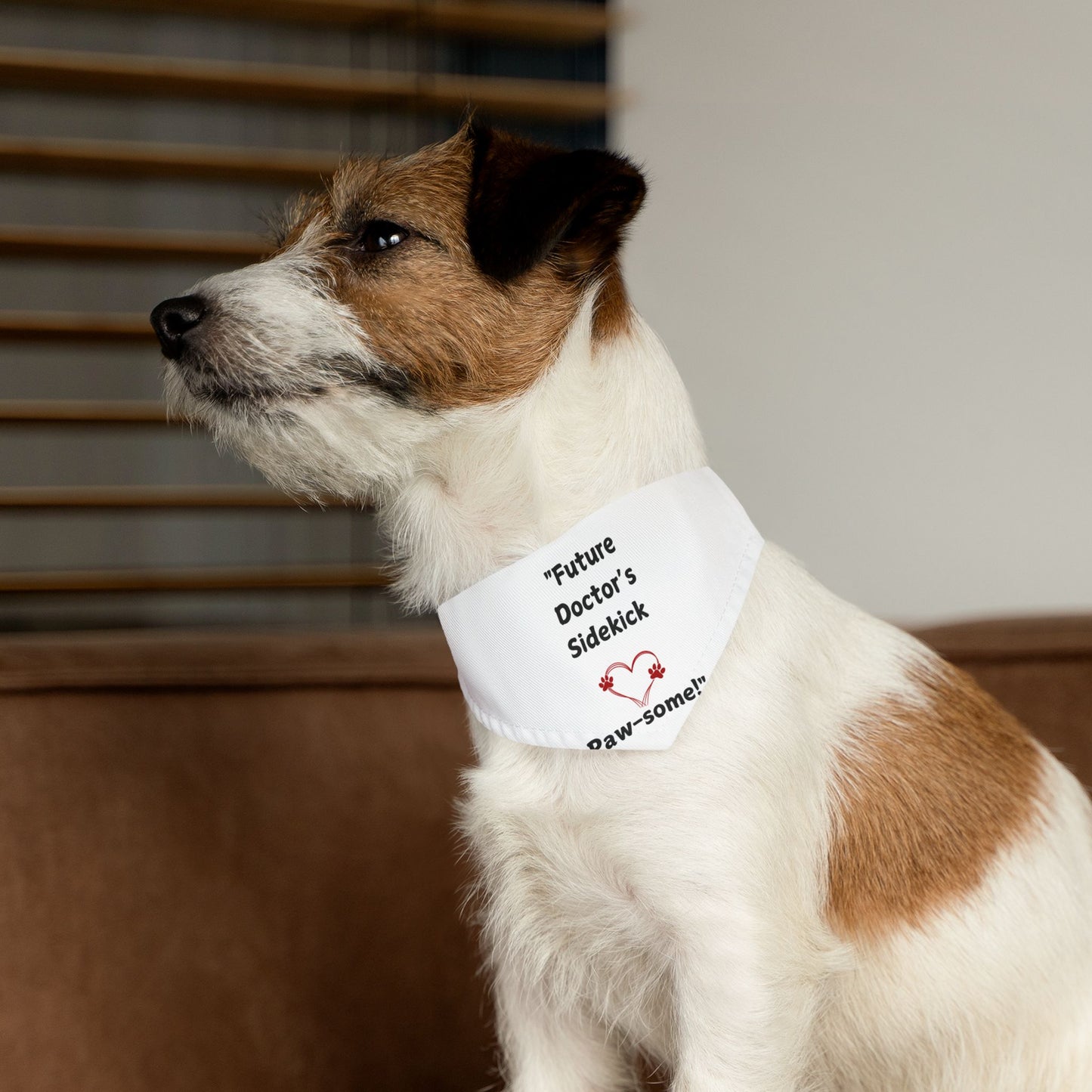 Pawsome Pet Bandana Collar